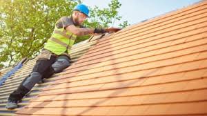 Professional Roofing services in Homeland, GA