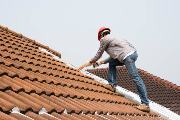 Roof Insulation in Homeland, GA