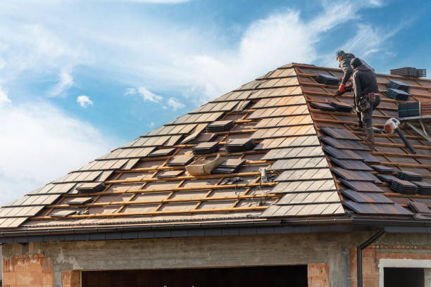 Best Roof Moss and Algae Removal  in Homeland, GA
