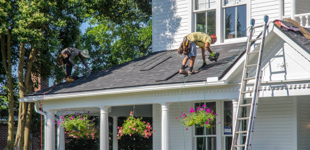 Best Roof Maintenance and Cleaning  in Homeland, GA